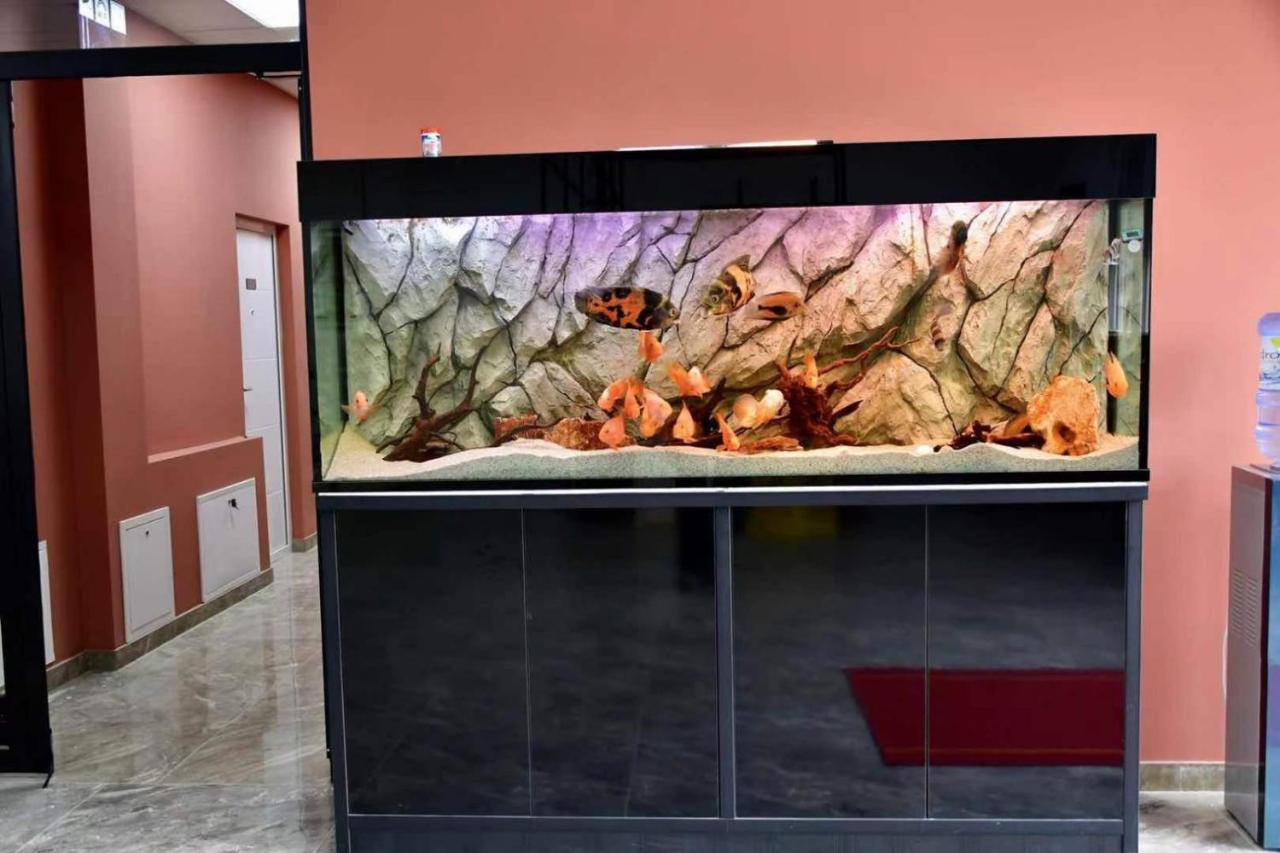Asuka Apartmani 飞鸟客 Surčin 외부 사진